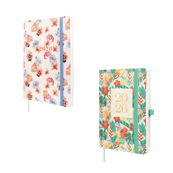 Agendas 16 Meses