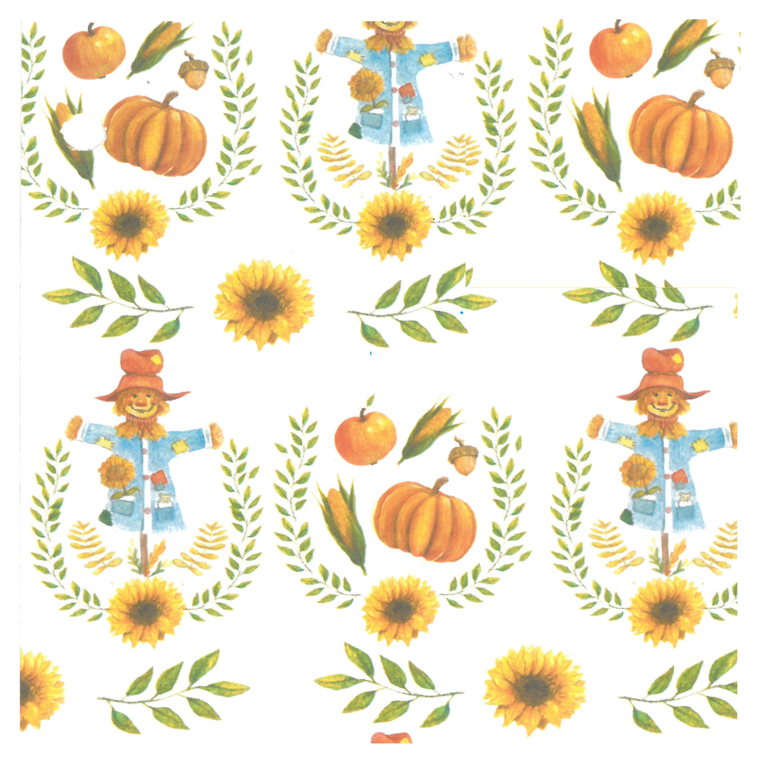 Cartolina Fantasia Espantalhos 495x680mm - 300gr.