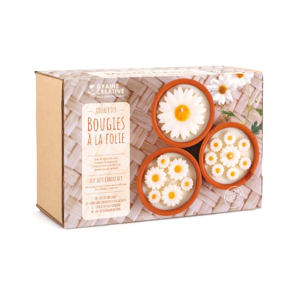 Kit DIY Daisy