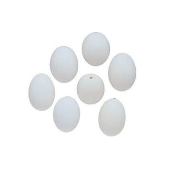 Ovos Naturais Brancos 60mm Cx.12un.
