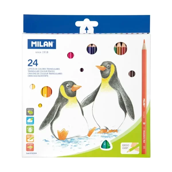 Lápis Cor Triangulares Cx.24un.