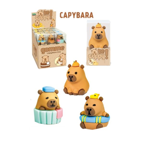 Borrachas Capybara Exp.24un.